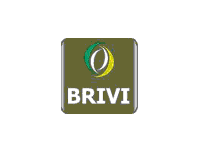 Brivi